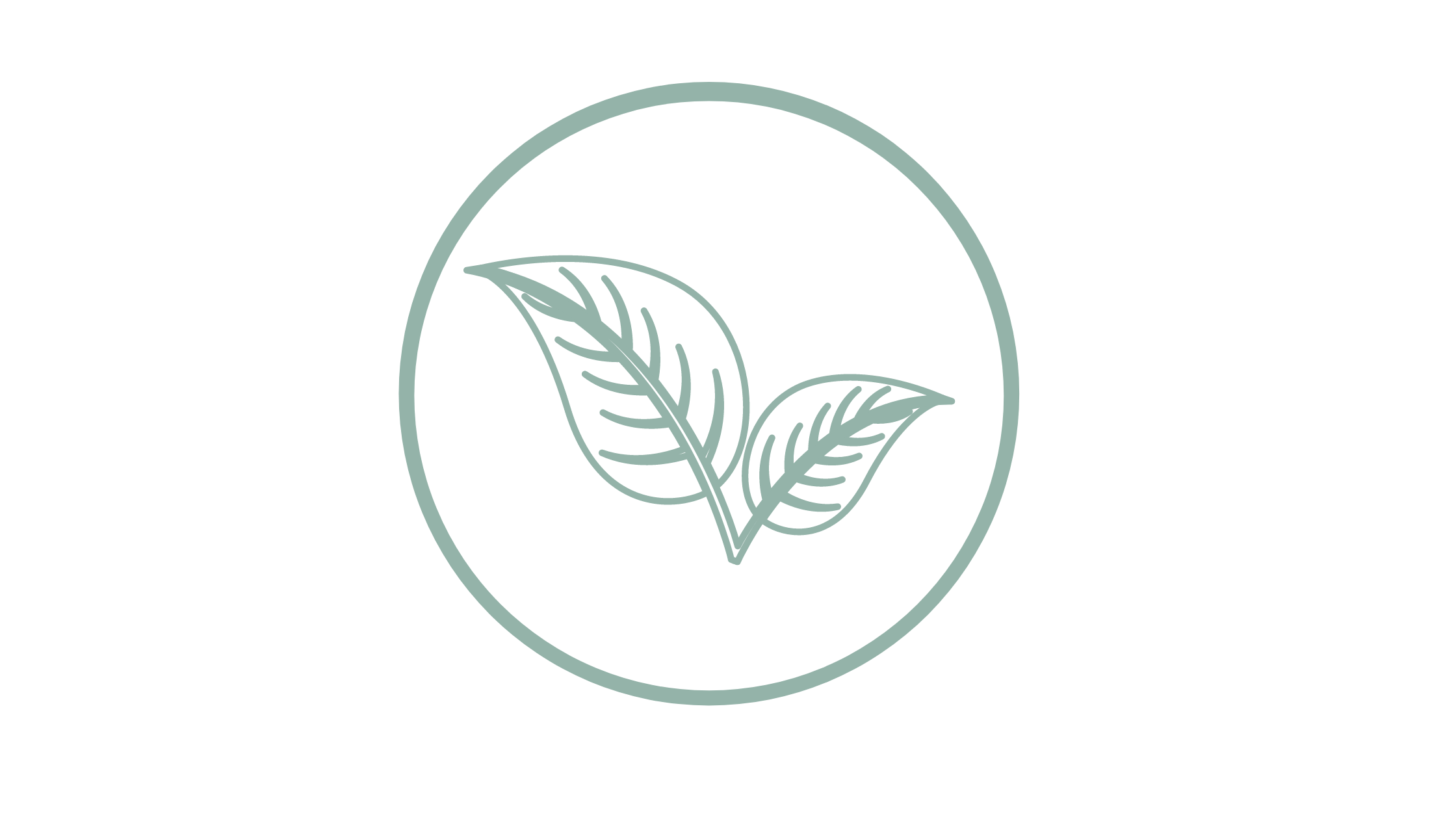 Vegan product vegan friendly